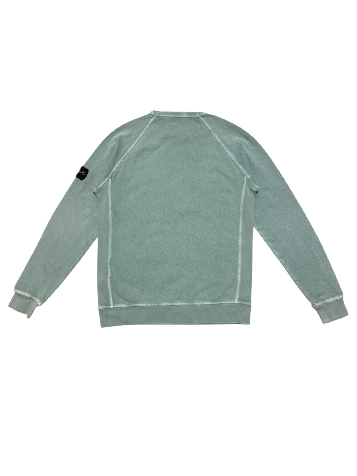 Stone Island Junior sweatshirt back view — FashnLuxe