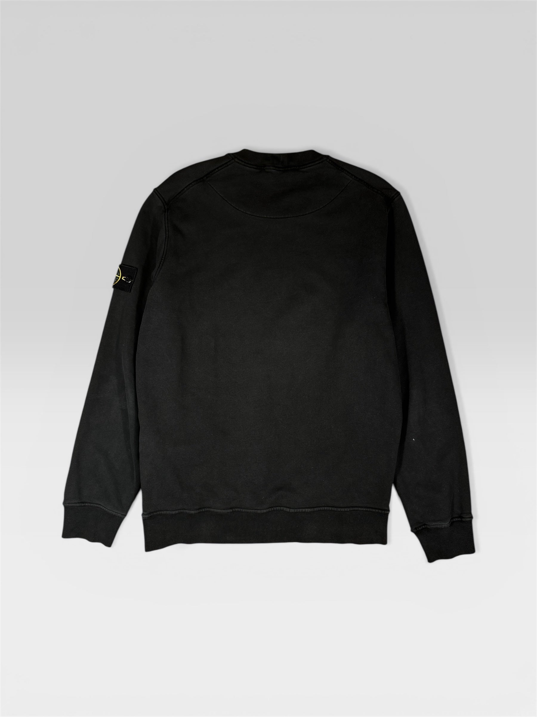 Stone Island sweatshirt back view — FashnLuxe